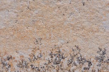 Dendrite, minerals rock stone background 