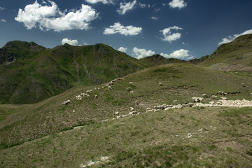 Fototapeta na wymiar Mountain area with green during summer day in Pyrenees, North of Spain and France