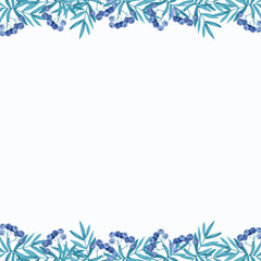 Fototapeta na wymiar Watercolor turquoise rowan border with blue berries on a white background.
