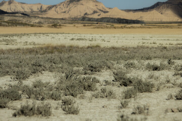 Fototapeta na wymiar Desert area in hot summer day with dry vegetation in Bardenas Reales de Navarra, Spain