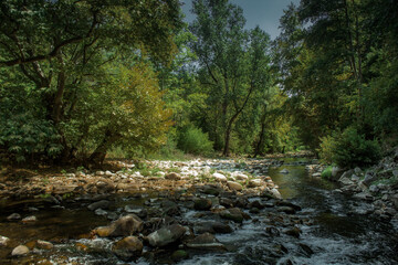 Summer day in nature with greenery, fresh air, in Tuhovishta, Bulgaria