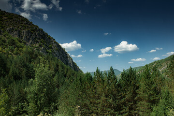 Summer day in nature with greenery, fresh air, in Tuhovishta, Bulgaria