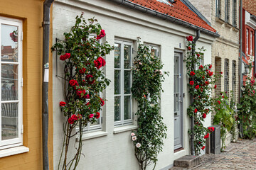 Fototapeta na wymiar Charming street corner with beautiful building in Odense, Denmark