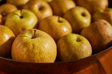 Hudson's Golden Gems, an American Heirloom apple variety. These were grown in Lancaster County, Pennsylvania, USA