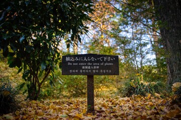 Foliage trees in autumn with no step sign