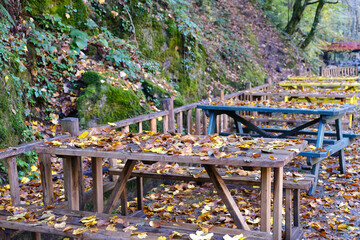 Lots of colorful leaves on the picnic tables, autumn, loneliness theme photo