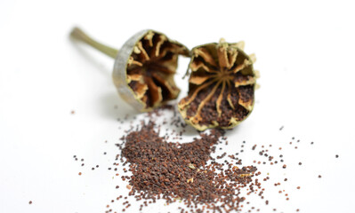 Opium Poppy head and seeds on white background