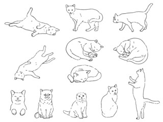 猫イラストセット