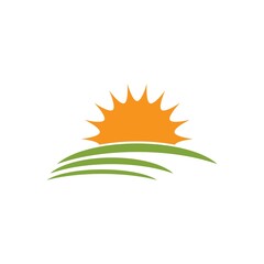 sun ilustration design