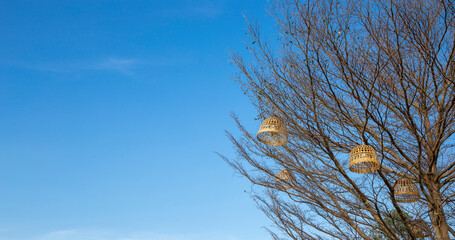 hanking rattan lantern decoration dry tree