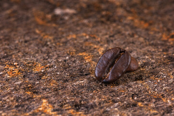 Roasted coffee beans close-up with copy space