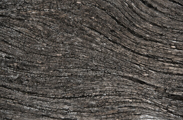 abstract pattern of wood grain monocrome