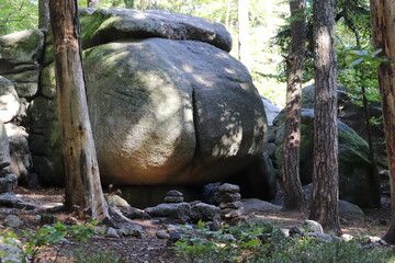 Fototapeta na wymiar A massive stone in the forest called Devil's Ass in the shape of butt near Cesky Rudolec, Czech republic
