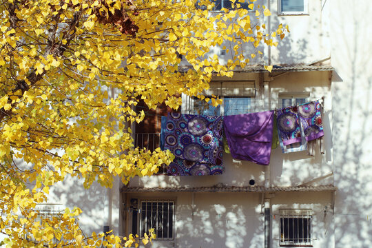 Oto&ntilde;o por las ma&ntilde;anas