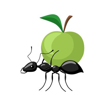 Ant carrying food isolated on white background. Bug carrying apple and walking to the anthill.