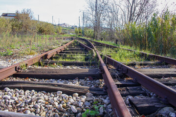 discovery of railway tracks of an old abandoned station