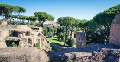 Trees and ruins on Palatine Hill