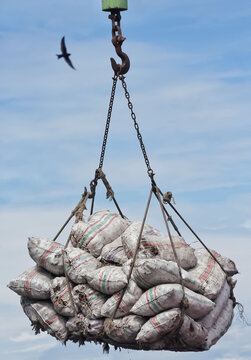 Delivery Of Copra From Donggala Port To Surabaya