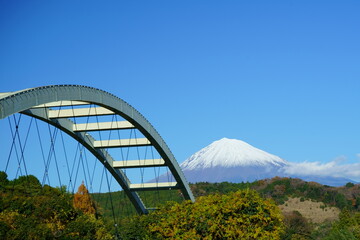 The leaves change color in autumn