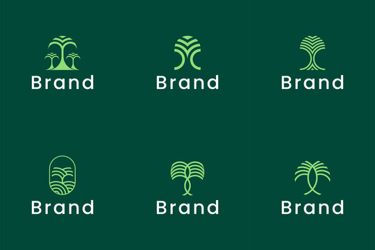 Set of Luxury Palm Logo Template Vector
