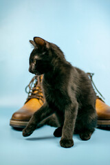 A black cat sits in front of a pair of new boots on a blue background. Vertical image. Fashionable concept.
