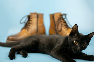 A black cat sits in front of a pair of new boots on a blue background. Fashionable concept.