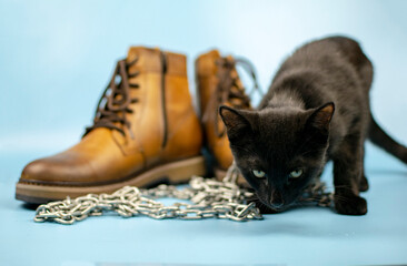 A black cat sits to the right of a pair of new boots against a blue background. Fashionable concept.