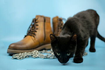 A black cat sits to the right of a pair of new boots against a blue background. Fashionable concept.