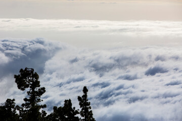 Spring sunset in Caldera De Taburiente Nature Park, La Palma Island, Canary Islands, Spain