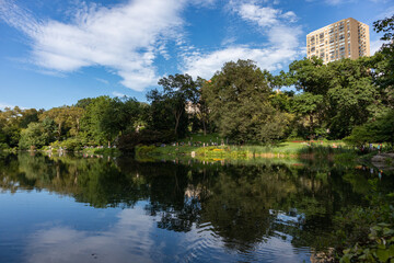 Central Park Pond with a Reflection during the Summer in New York City