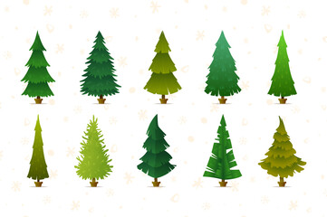 Different types of Christmas trees on a white background with a pattern of snowflakes, circles