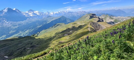 Mountain panorama during a hike in Grindelwald in Berner Oberland, Switzerland