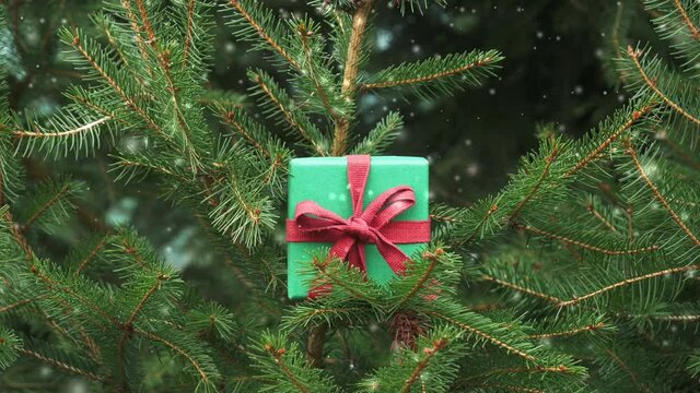 Holiday gift in spruce treen branches with falling snow