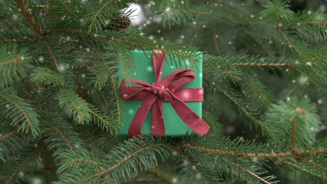 Holiday gift in spruce treen branches with falling snow