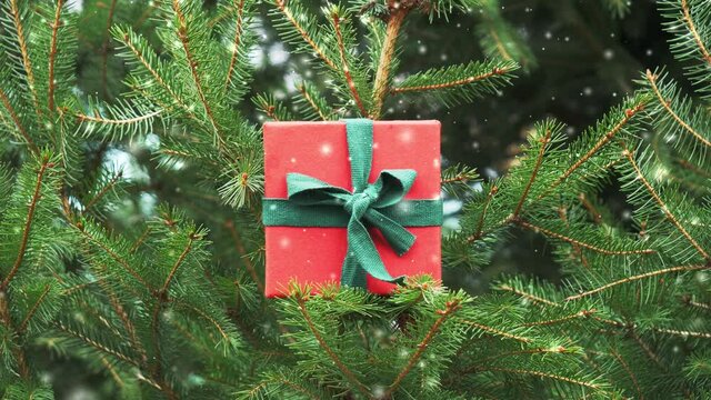 Holiday gift in spruce treen branches with falling snow