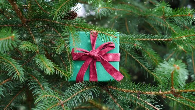Holiday gift in spruce treen branches with falling snow