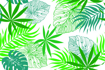 Tropical seamless vector pattern with exotic green leaves on white background