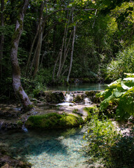 Obraz premium stream in the forest