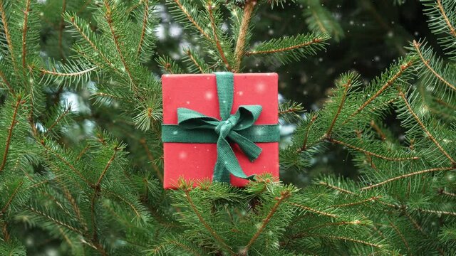 Holiday gift in spruce treen branches with falling snow