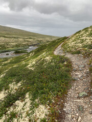 Wanderweg in Graslandschaft
