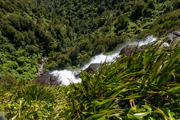 wairere falls, waterfalls in a forest, bay of plenty, new zealand