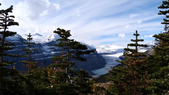 Beautiful view of majestic Saskatchewan Glacier in Banff National Park, Alberta, Canada, part of the Columbia Icefield in the Rocky Mountains, in autumn season on windy day with coniferous trees in fr
