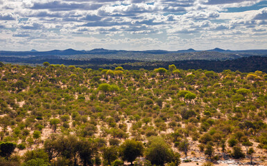 View of a typical African landscape with cumulus clouds over the expanses of bush savanna.