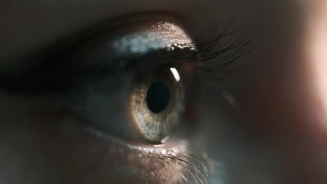 A woman's eye with beautiful eyelashes. Gray cornea with a brown spot. view on the side
