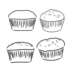 drawing of a cup cake cupcake vector sketch