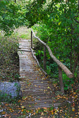 Old wooden footbridge across the stream