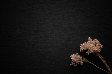 black background with pink dried flowers in the corner
