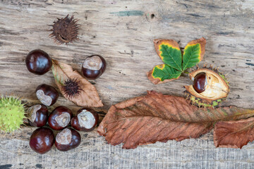 autumn background with horse chestnuts and dried leaves on wooden table with copy space