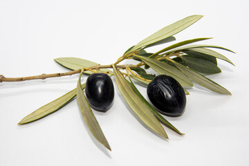 Aceitunas negras con hojas de olivo