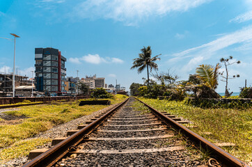 Fototapeta na wymiar Tropikalny krajobraz z torami kolejowymi, piękny słoneczny dzień i palmy.